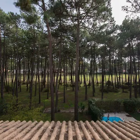 Exciting Charneca (Setubal)