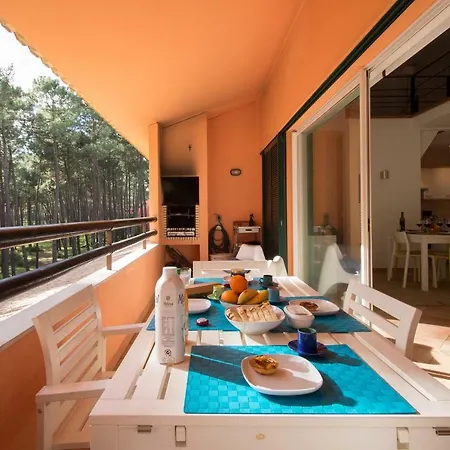 Exciting Шарнека