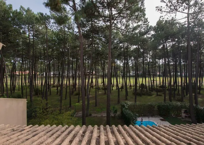 Exciting 沙尔内卡